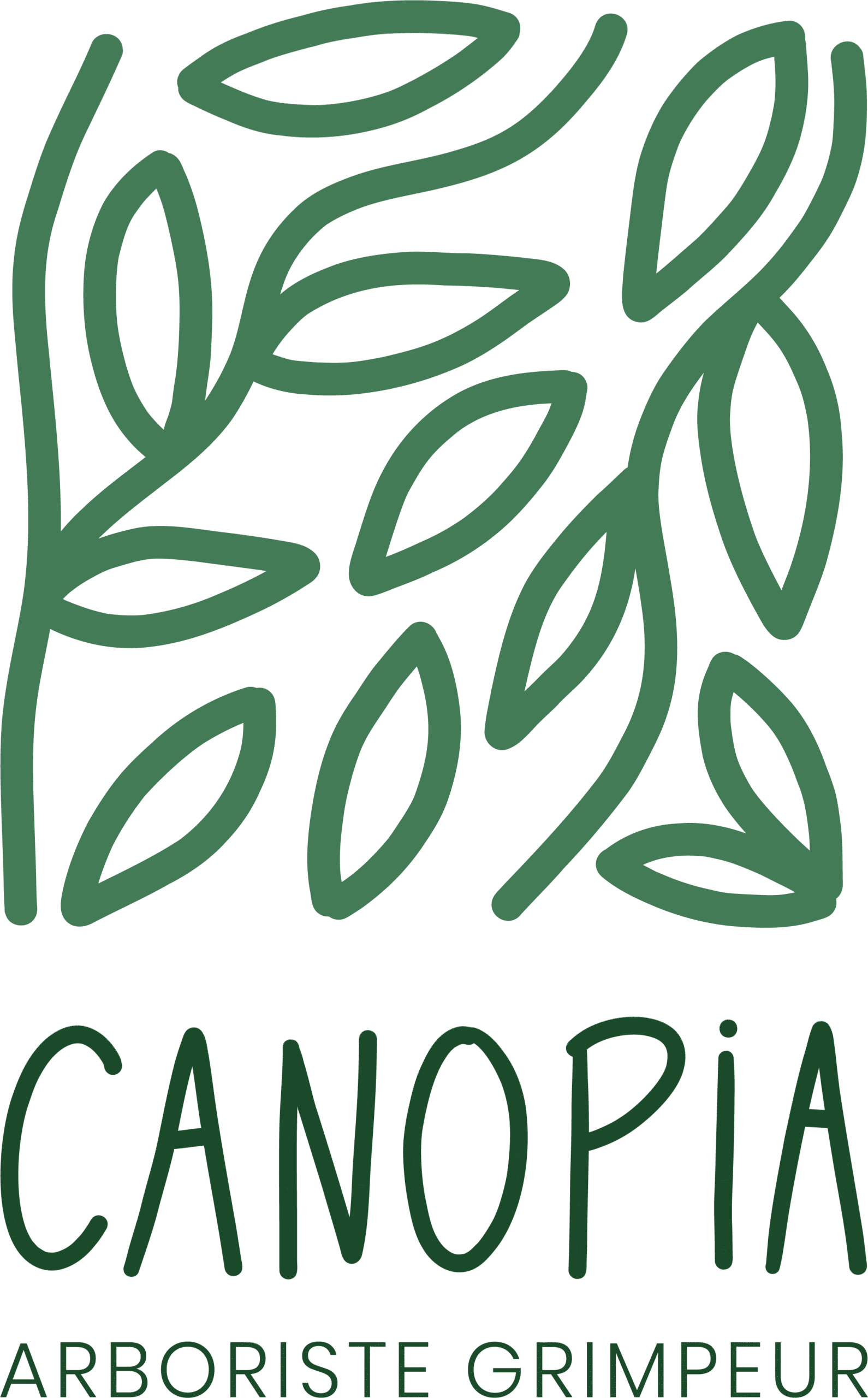 Arboriste Grimpeur – Annecy – Haute-Savoie